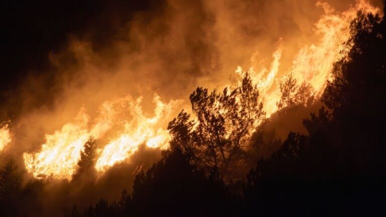 ASAJA Ávila exige ayudas urgentes, garantías para la PAC y una política real de prevención de incendios