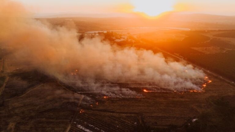 ARAG-ASAJA propone al Gobierno de La Rioja formar a agricultores y ganaderos para colaborar de forma segura en la extinción de incendios