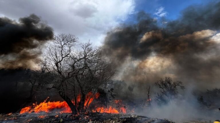 Por la autoprotección frente a los incendios