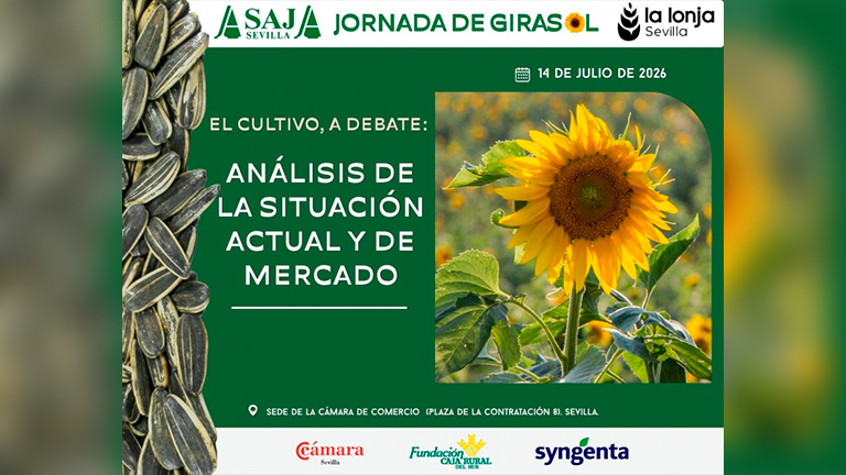 ASAJA-Sevilla analizará la situación del girasol en una jornada monográfica