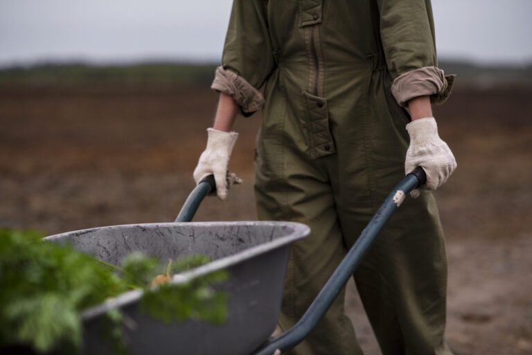 AERAL ofrece 25 candidatos formados a las empresas agrarias de Almería