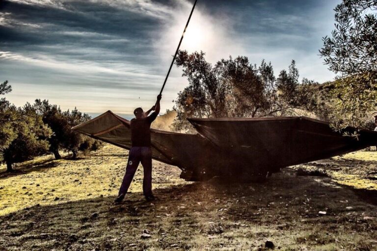 ASAJA-Jaén recuerda a los jóvenes agricultores el plazo para solicitar el segundo pago de la ayuda