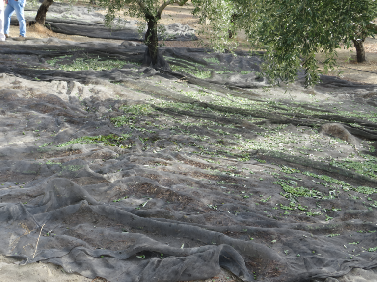 Andalucía convoca ayudas para pymes que inviertan en prevención de riesgos laborales