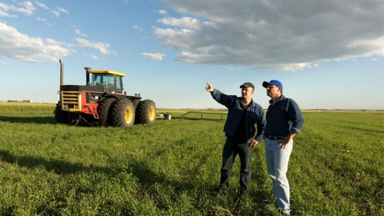 AVA-ASAJA reclama medidas estructurales para recuperar campos abandonados y favorecer el relevo generacional en la agricultura valenciana