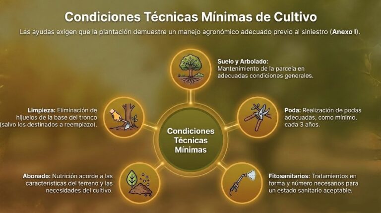 El informe técnico de daños en almendro debe hacerse antes de la cosecha