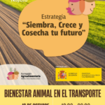CURSO: Bienestar Animal en el transporte