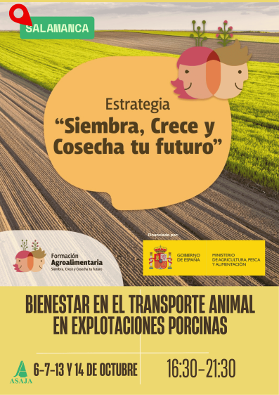 CURSO: Bienestar Animal en explotaciones porcinas