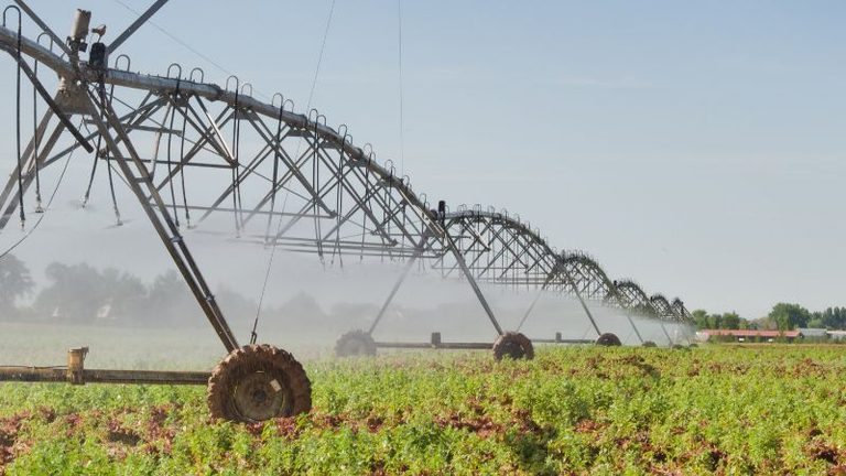 ASAJA Córdoba solicita prolongar la campaña de riego ante la falta de lluvias y las altas temperaturas