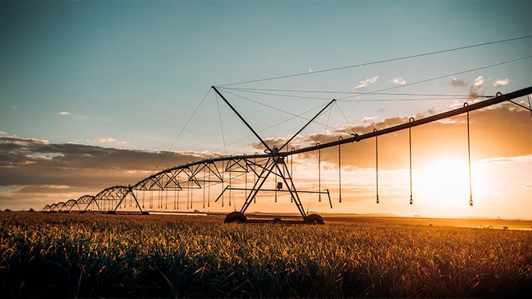 Agroinnpulso suma 6 millones de euros para financiar pymes agroalimentarias innovadoras