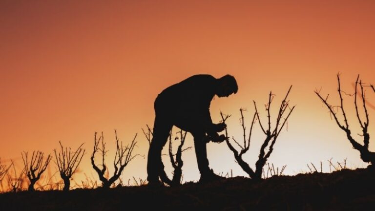 ARAG-ASAJA celebra 45 años reivindicando el valor esencial de la agricultura y la ganadería