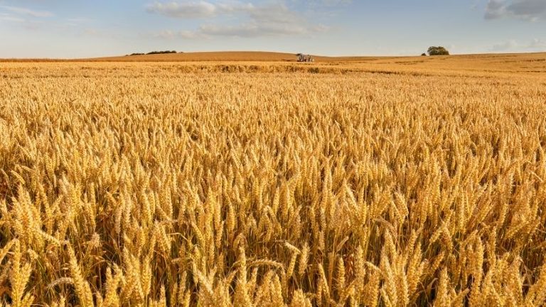 El campo leonés encara el inicio del otoño con las cosechas adelantadas y poca actividad en las nuevas siembras