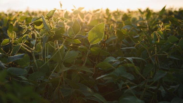 ASAJA Huesca conoce en Dinamarca el Plan de Alimentación Vegetal y su impacto en el sector agrario