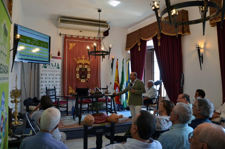 El verdeo comienza con unas exigencias en calibre difíciles de alcanzar y a un precio por debajo de la campaña anterior