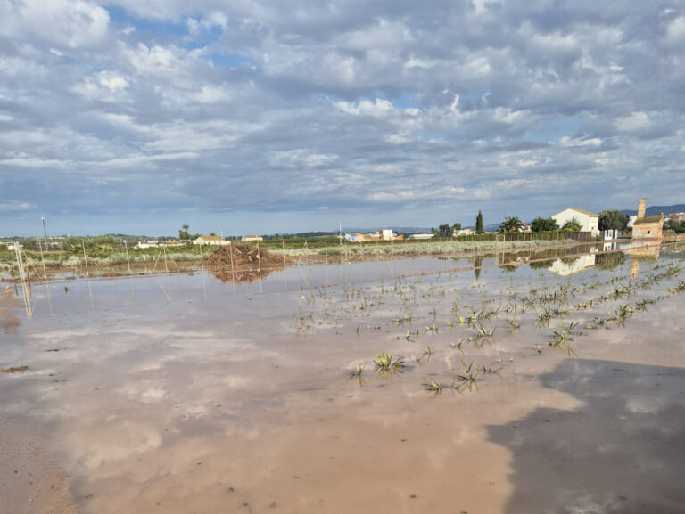 AVA-ASAJA pide ayudas directas para los agricultores afectados por el temporal pese a los beneficios generales de las lluvias