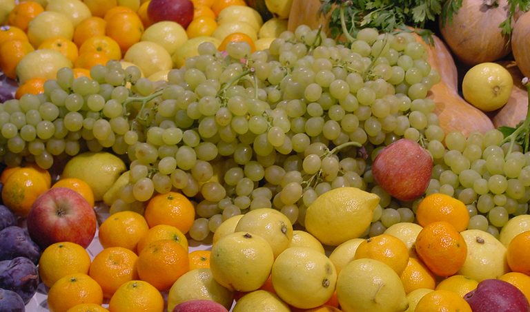 AVA-ASAJA denuncia un “agosto negro” por las alertas en frutas y hortalizas de terceros países