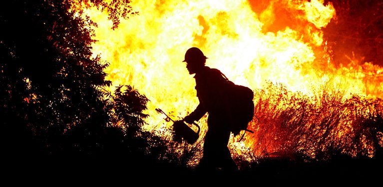ASAJA Huelva se suma a la campaña «Ayudemos a frenar los incendios forestales»
