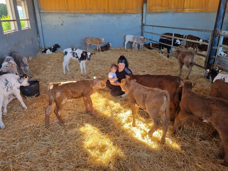 AVA-ASAJA se congratula de las nuevas ayudas del Consell a jóvenes agricultores