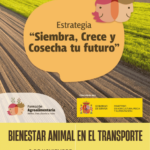 CURSO: Bienestar Animal en el Transporte