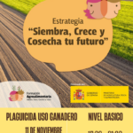 CURSO: Plaguicida Uso Ganadero