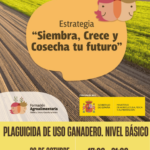 CURSO: Plaguicida uso ganadero. Nivel Básico