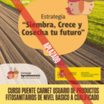 CURSO PUENTE. CARNET DE USUARIO DE PRODUCTOS FITOSANITARIOS DE NIVEL BASICO A NIVEL CUALIFICADO. APLAZADO