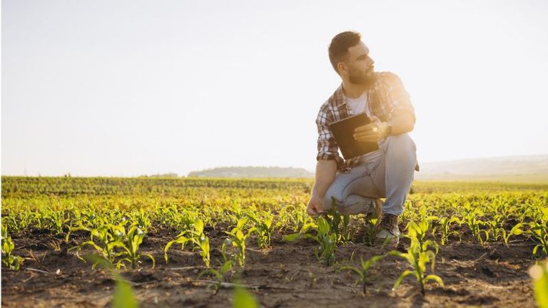 Los seguros agrarios dispondrán de 372,6 millones de euros en ayudas a la contratación durante 2026