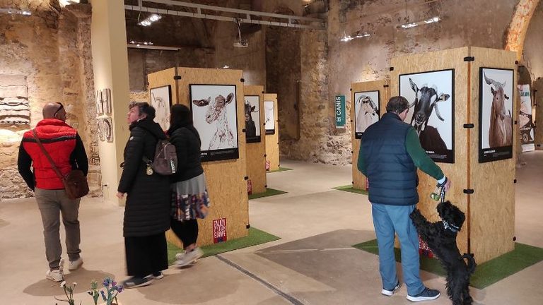 Sevilla acoge la última parada del Roadshow Bestiarium de INTEROVIC
