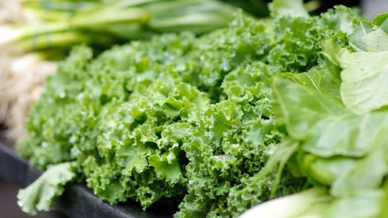 Los alimentos previstos para el reparto frente al Ministerio de Agricultura se entregarán al Banco de Alimentos