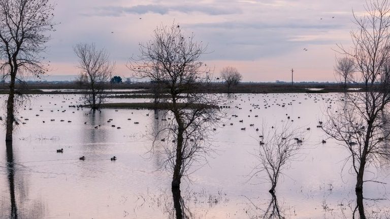 ASAJA Córdoba lamenta que el 40 % de las ayudas por las borrascas sigue sin llegar al campo