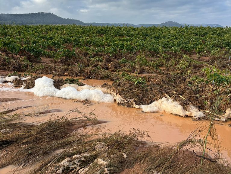 Las lluvias del lunes volvieron a destrozar campos de Requena aún pendientes del pago de las ayudas de la DANA