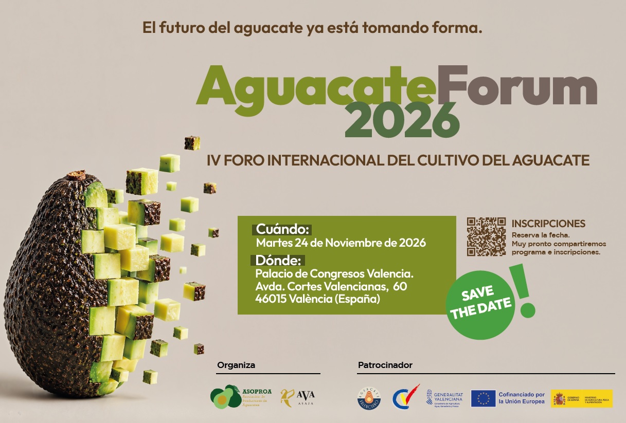 Valencia acoge el IV Foro Internacional del Cultivo del Aguacate el 24 de noviembre